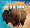Big bison