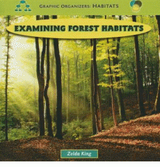 Examining forest habitats