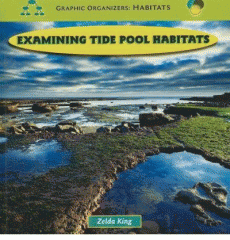 Examining tide pool habitats