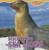 Discovering sea lions