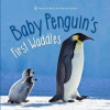 Baby penguin's first waddles