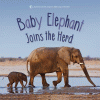 Baby elephant joins the herd