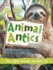 Animal antics : the silly things animals do