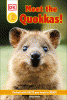 Meet the quokkas!