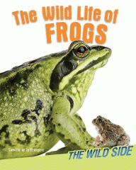 The wild life of frogs