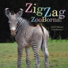 Zigzag zooborns! : zoo baby colors and patterns