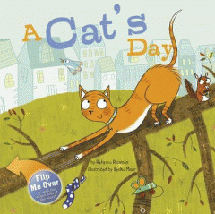A cat's day
