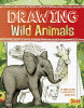 Drawing amazing animals, drawing wild animals