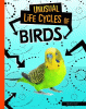 Unusual life cycles of birds