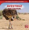 Avestruz : ave colosal