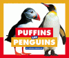Puffins and penguins