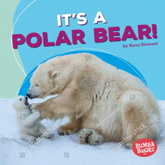 It's a polar bear!