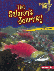 The salmon's journey
