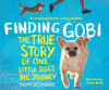 Finding Gobi : the true story of one little dog's big journey