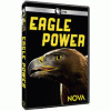 Eagle Power