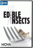 Edible Insects