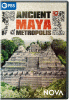 Ancient Maya metropolis