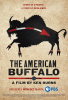 The American buffalo
