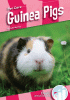 Guinea pigs