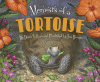 Memoirs of a tortoise