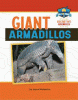 Giant armadillos