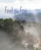 Feel the fog