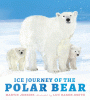 Ice journey of the polar bear