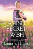 The Amish secret wish : a Hidden Springs novel