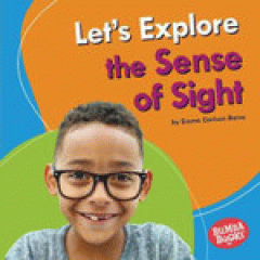 Let's explore the sense of sight