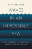 Waves in an impossible sea : how everyday life emerges from the cosmic ocean