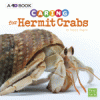 Caring for hermit crabs : a 4D book