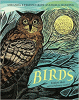 Birds : explore their extraordinary world