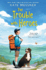 The trouble with heroes