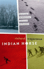 Indian Horse : a novel