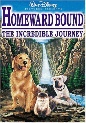 Homeward bound, the incredible journey
