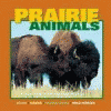 Prairie animals : explore the fascinating worlds of ...