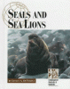 Seals and sea lions