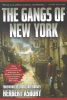 The gangs of New York : an informal history of the...