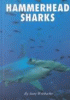 Hammerhead sharks