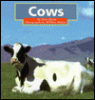 Cows