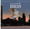 A place for birds