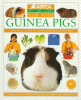 Guinea pigs
