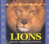 Lions