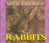 Rabbits
