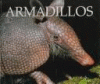 Armadillos