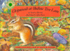 Chipmunk at Hollow Tree Lane