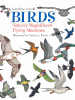Birds : nature's magnificent flying machines