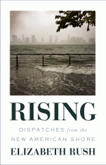 Rising : dispatches from the new American shore