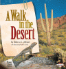 A walk in the desert