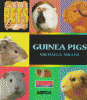 Guinea pigs